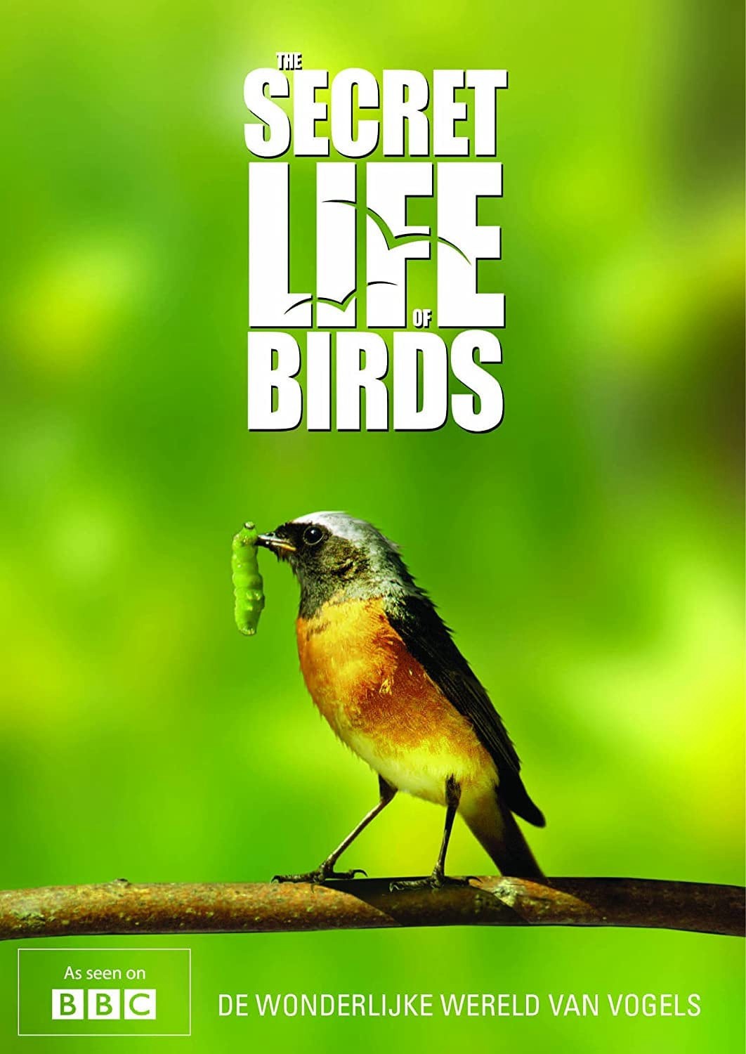Bí ẩn cuộc sống loài chim 2012