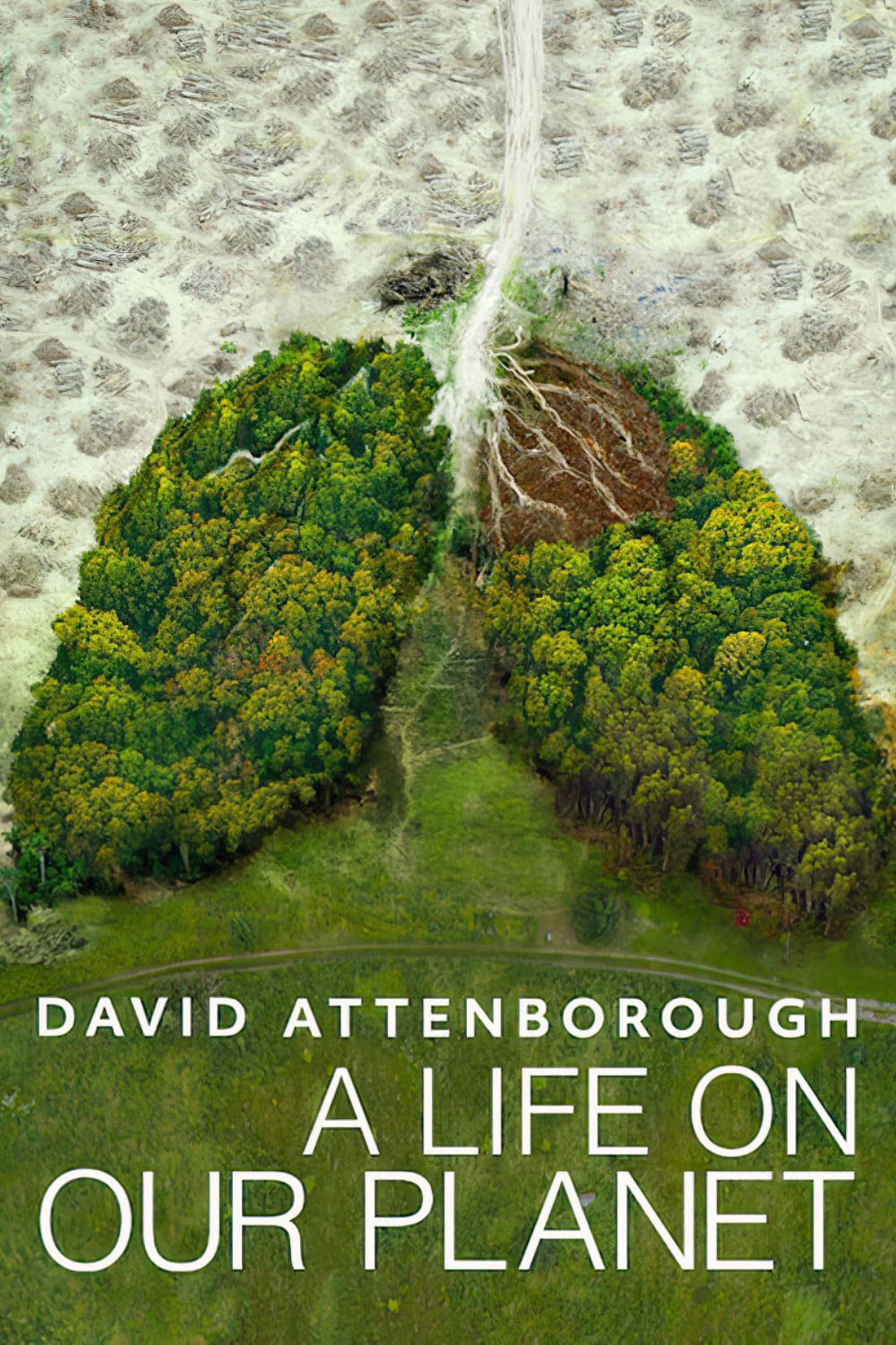 David Attenborough: Một cuộc đời trên Trái Đất 2020