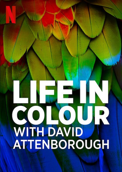 David Attenborough: Sự sống đầy màu sắc 2021