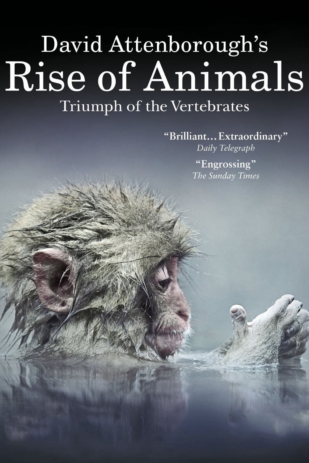 David Attenborough's Rise of Animals: Triumph of the Vertebrates 2013