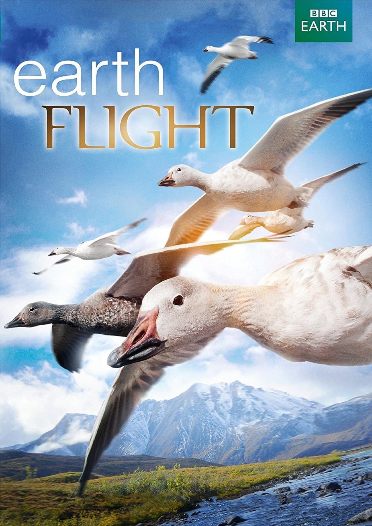 Earthflight 2011