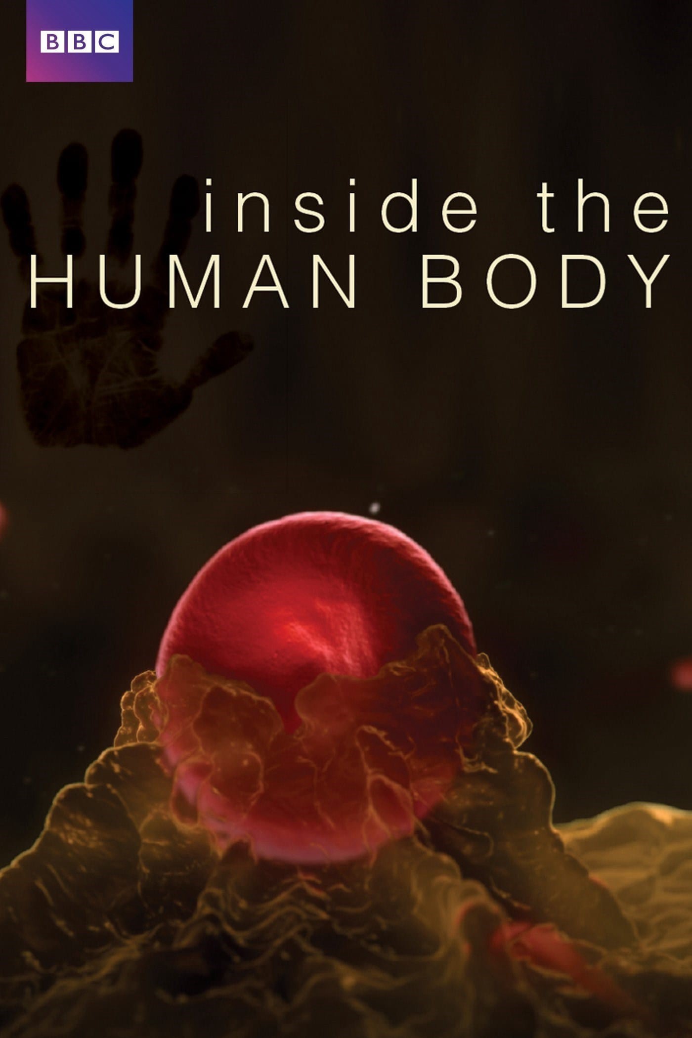 Inside the Human Body 2011
