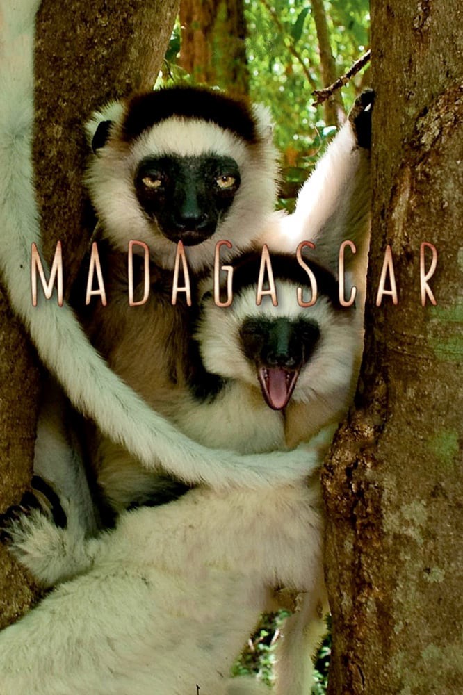 Madagascar 2011 2011