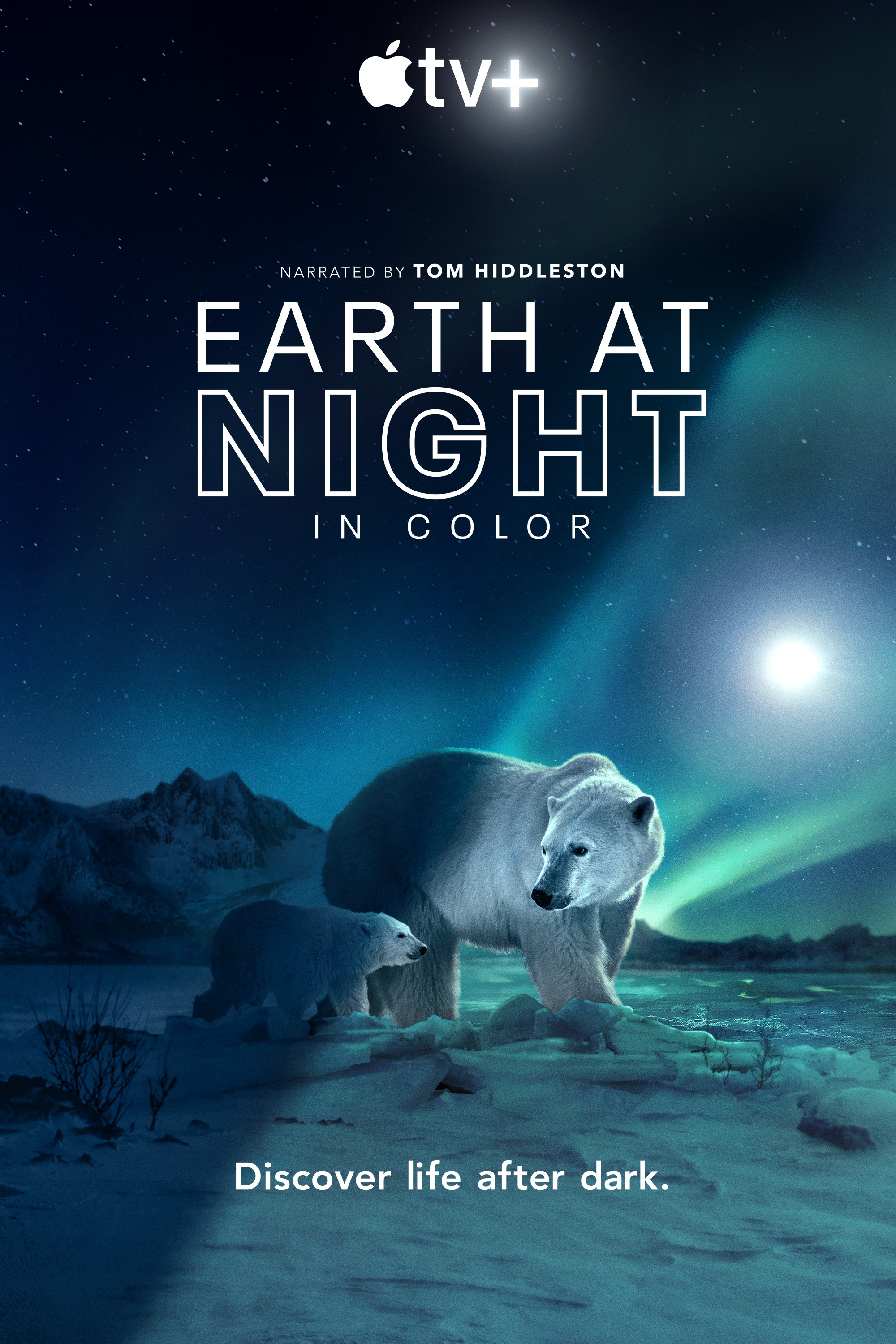 Màn đêm trên Trái Đất: Thước phim trong bóng tối 2020