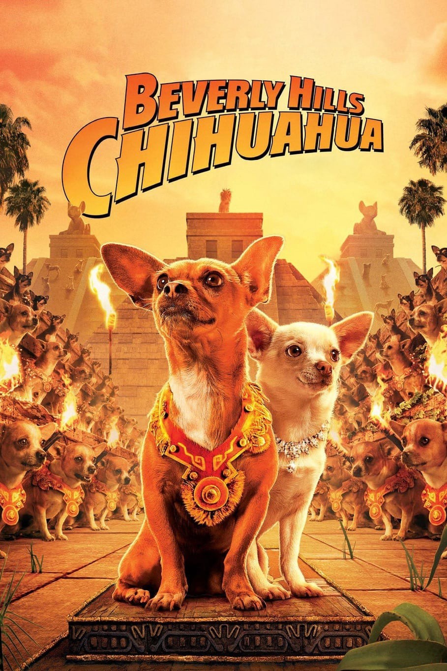 Những Chú Chó Chihuahua 2008