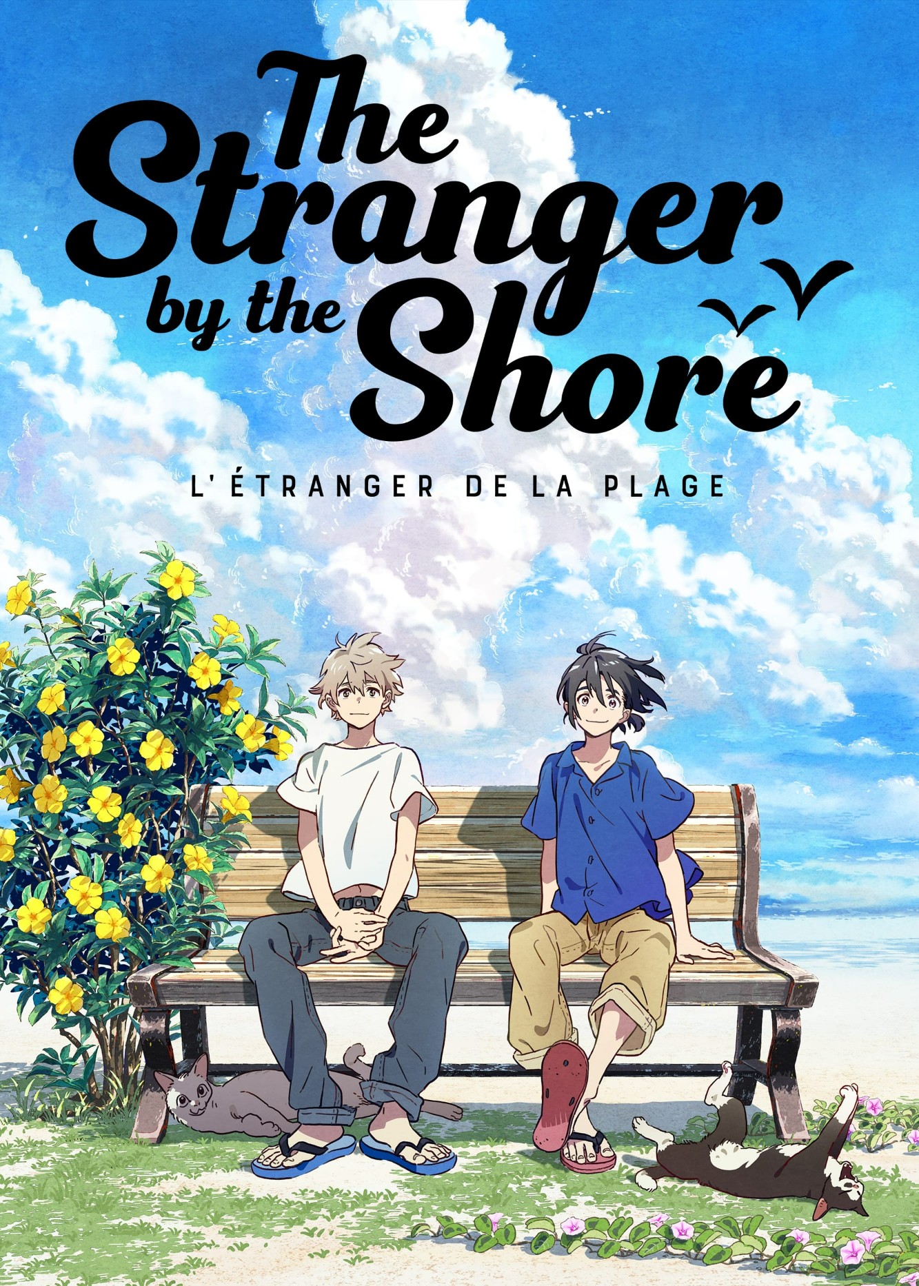 The Stranger by the Beach 2020